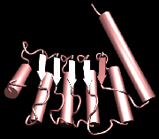 Sekundärstruktur eines Proteins 3D-Visualisierung einer Proteinstruktur